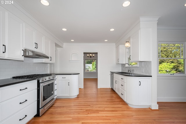 kitchen featuring light hardwood / wood-style floors, stainless steel appliances, and a wealth of natural light