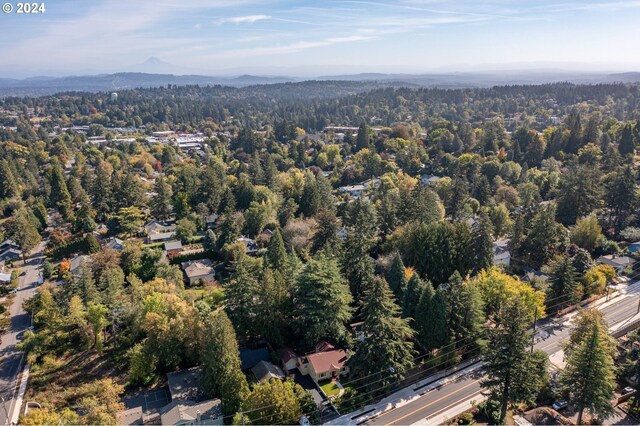 aerial view with a mountain view