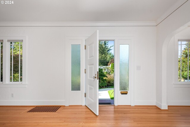 doorway featuring light hardwood / wood-style flooring, ornamental molding, and a healthy amount of sunlight