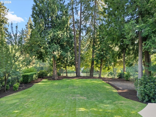 view of yard with fence