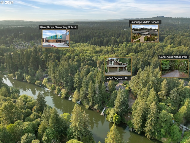 birds eye view of property featuring a water view and a wooded view