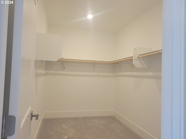 walk in closet featuring carpet flooring