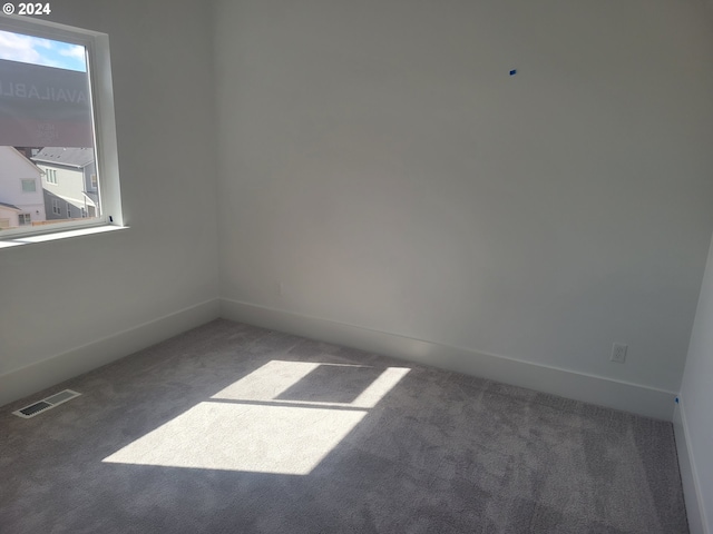 spare room with plenty of natural light and carpet floors