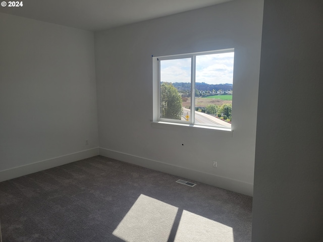 empty room with dark colored carpet