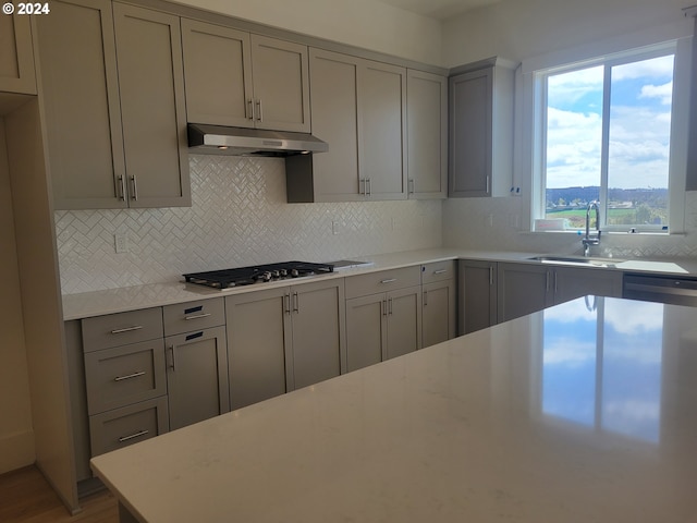 kitchen featuring sink, hardwood / wood-style flooring, decorative backsplash, gray cabinets, and appliances with stainless steel finishes