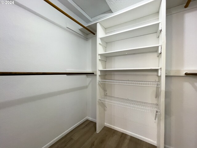 walk in closet featuring dark hardwood / wood-style floors