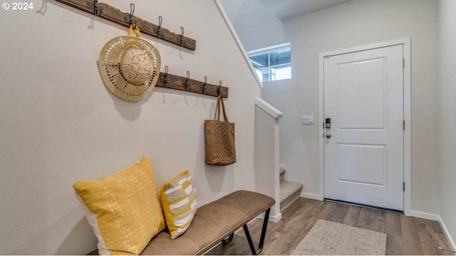 mudroom featuring wood-type flooring