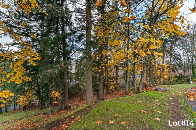 Stonecrest Dr Lot # 14, Eugene, OR 97401