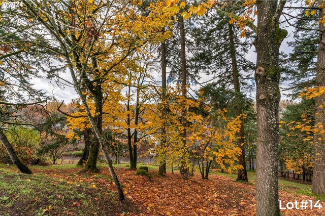 Stonecrest Dr Lot # 14, Eugene, OR 97401