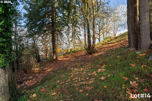 Stonecrest Dr Lot # 14, Eugene, OR 97401