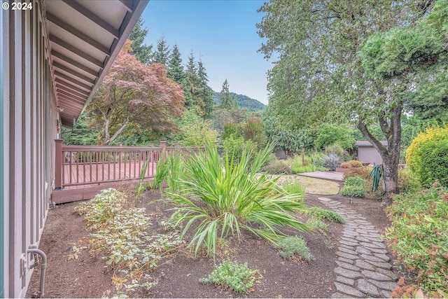 view of yard featuring a shed