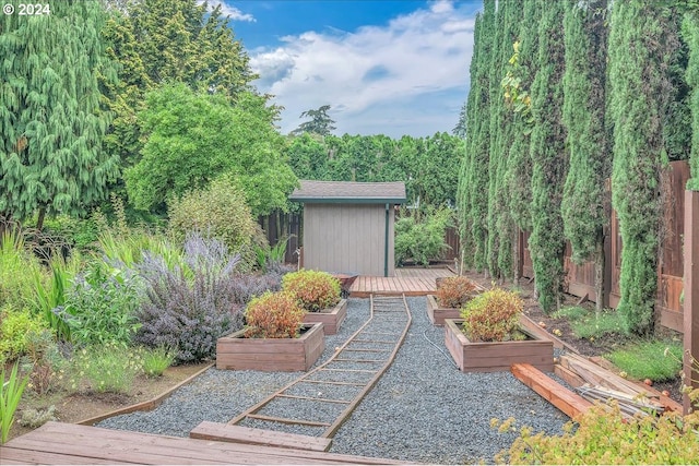 view of yard with a storage shed