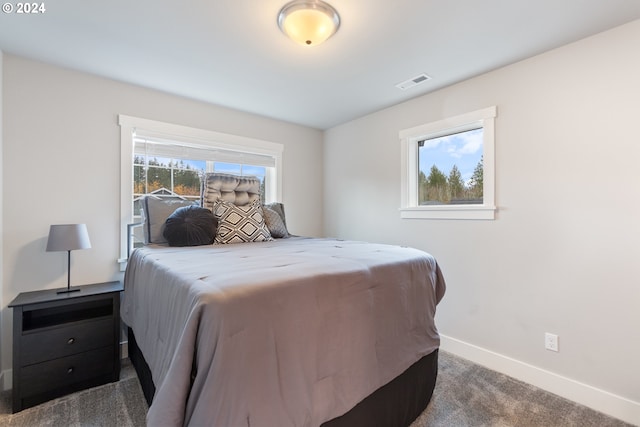 bedroom featuring dark carpet and multiple windows