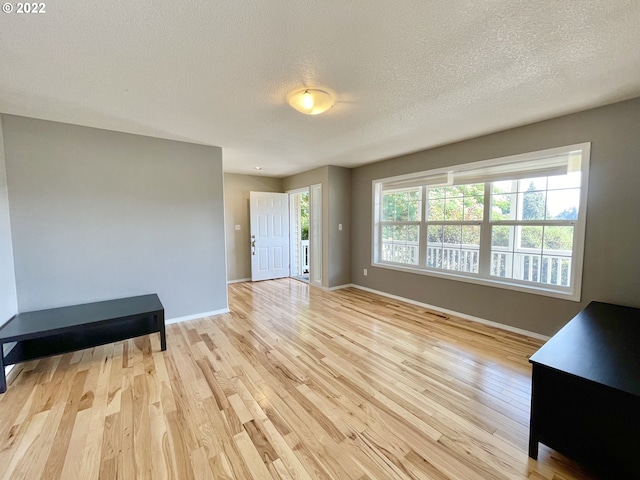 living room featuring light hardwood / wood-style floors and a textured ceiling