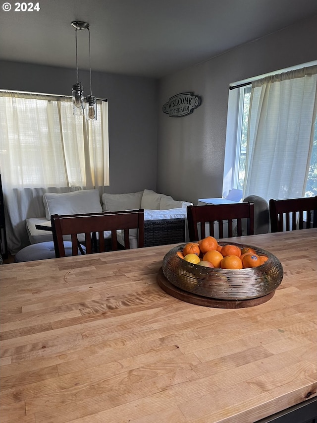 view of dining space