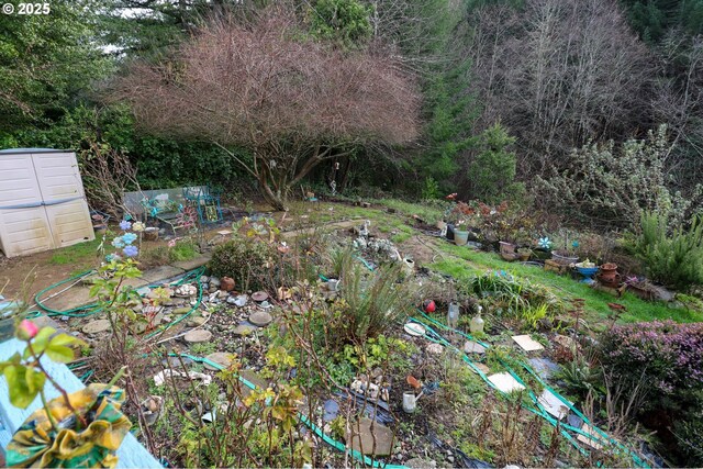view of yard with a vegetable garden
