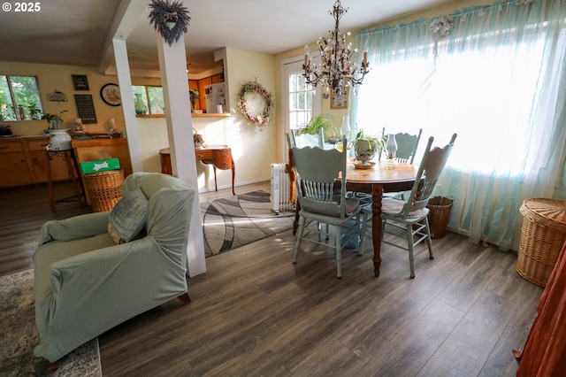 dining space featuring a healthy amount of sunlight, radiator, wood finished floors, and a notable chandelier