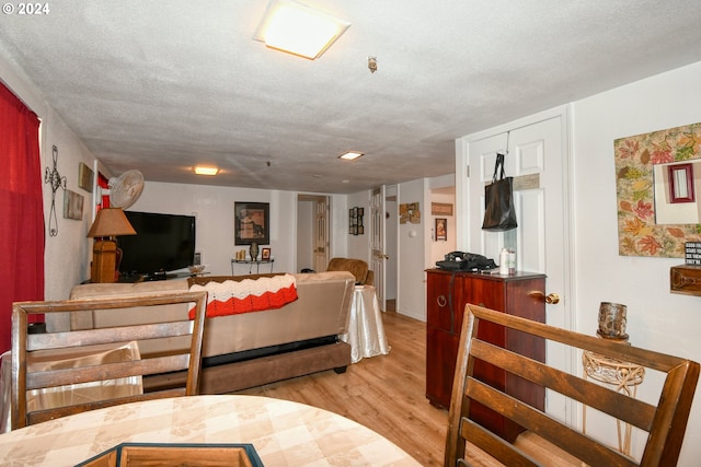 living room with light hardwood / wood-style flooring and a textured ceiling