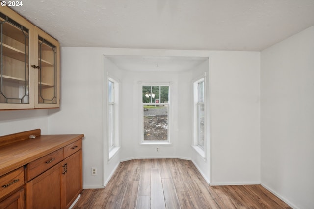 unfurnished dining area featuring wood-type flooring