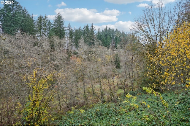 view of landscape