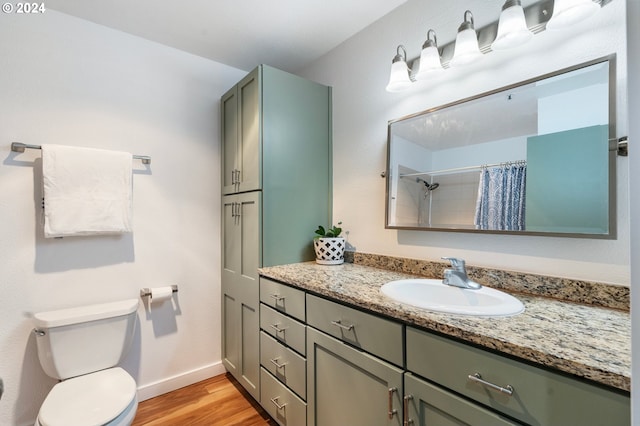 bathroom featuring toilet, vanity, and wood-type flooring