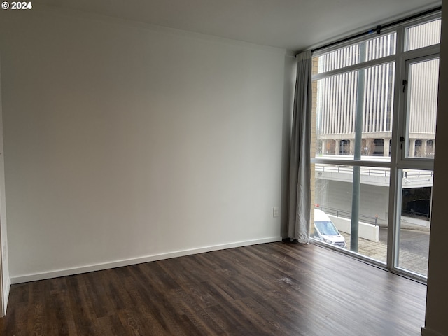 spare room with dark hardwood / wood-style floors and a wealth of natural light