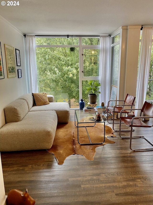 living room featuring hardwood / wood-style floors and expansive windows