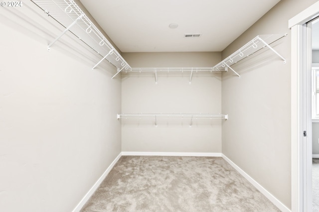 spacious closet featuring carpet