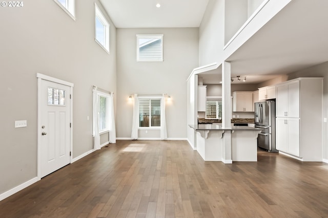 foyer featuring a high ceiling and dark hardwood / wood-style flooring