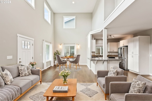 living room with light hardwood / wood-style floors and a high ceiling