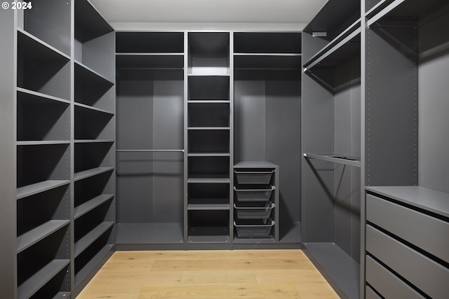 walk in closet with hardwood / wood-style flooring