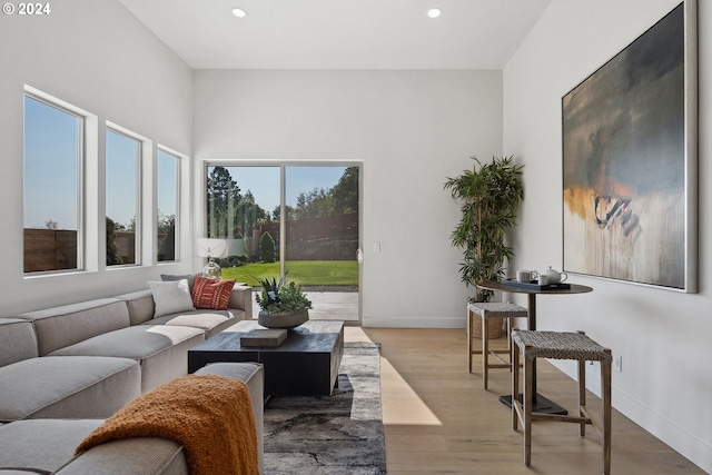 living room featuring light hardwood / wood-style flooring