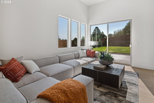 living room featuring hardwood / wood-style floors