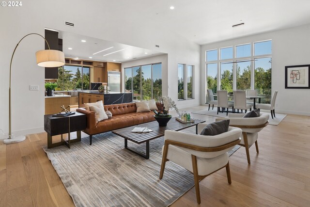 living room with a healthy amount of sunlight and light hardwood / wood-style floors