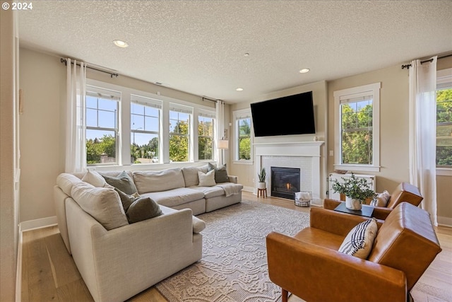 living room with a textured ceiling and light hardwood / wood-style flooring