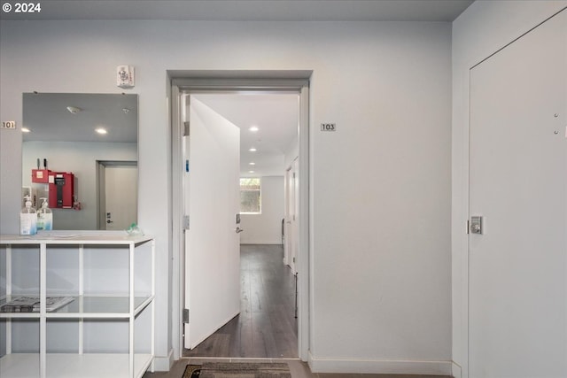 hall with dark wood-type flooring