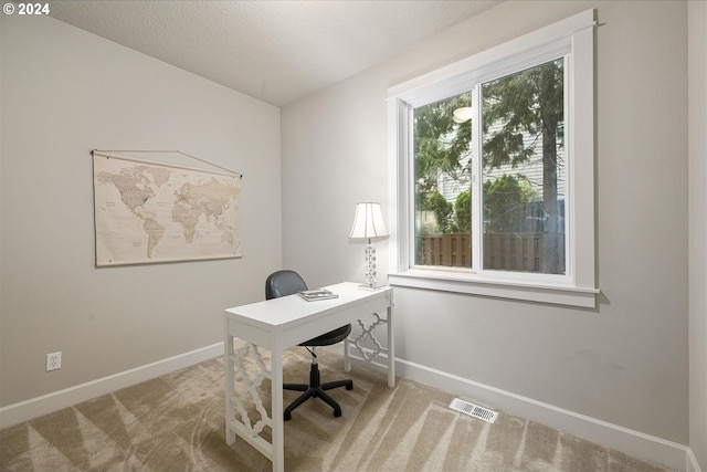 office space featuring a textured ceiling and carpet floors