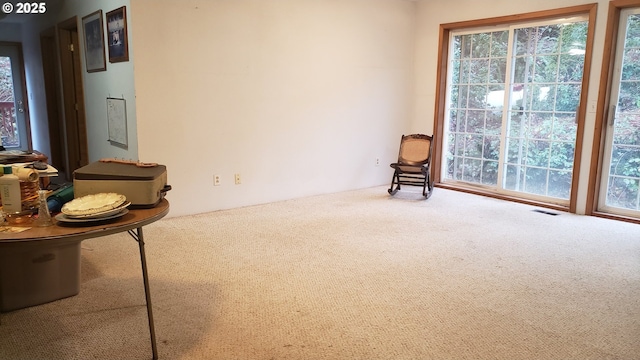 living area featuring carpet flooring