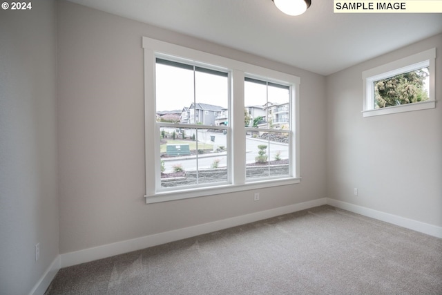 unfurnished room with carpet flooring