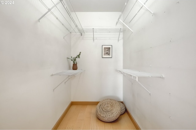 spacious closet with hardwood / wood-style floors