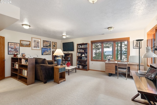 carpeted office space with a textured ceiling