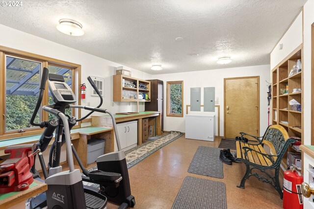 workout area with electric panel and a textured ceiling