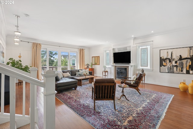 living room with crown molding and wood-type flooring