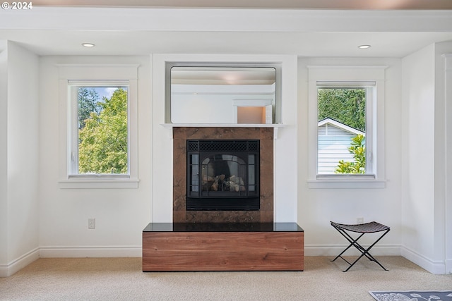 unfurnished living room with a healthy amount of sunlight and carpet floors