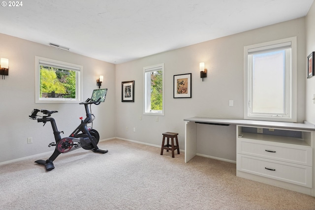 workout area featuring light colored carpet