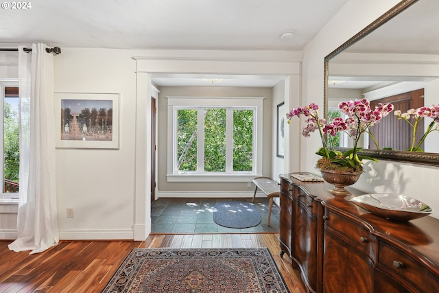 entryway with wood-type flooring