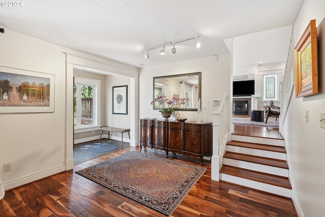 foyer entrance featuring plenty of natural light and dark wood-type flooring