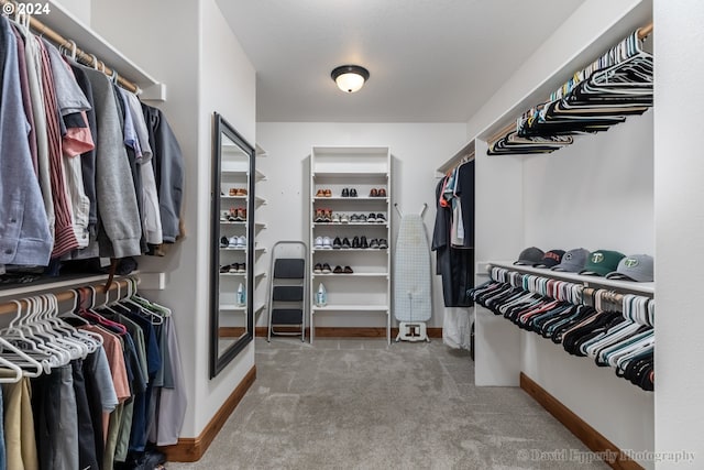 spacious closet featuring carpet floors