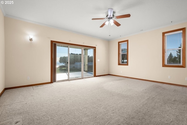 spare room with ceiling fan, carpet floors, and ornamental molding