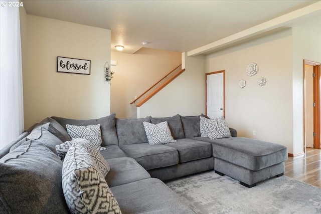 living room with wood-type flooring